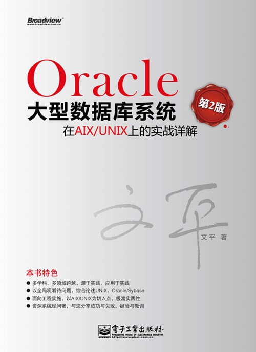 Oracle大型数据库系统在AIX/UNIX上的实战详解（第2版）