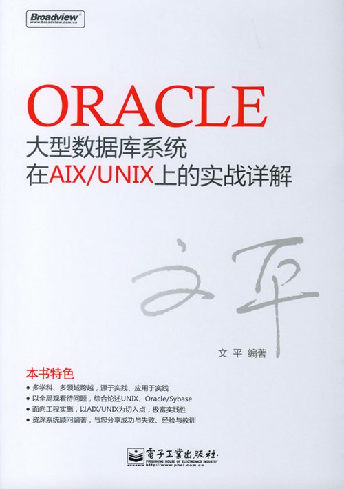 Oracle大型数据库系统在AIX/UNIX上的实战详解