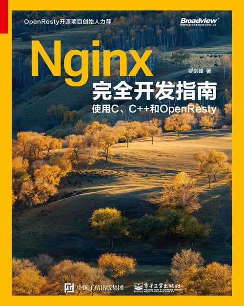 Nginx完全开发指南：使用C、C++和OpenResty