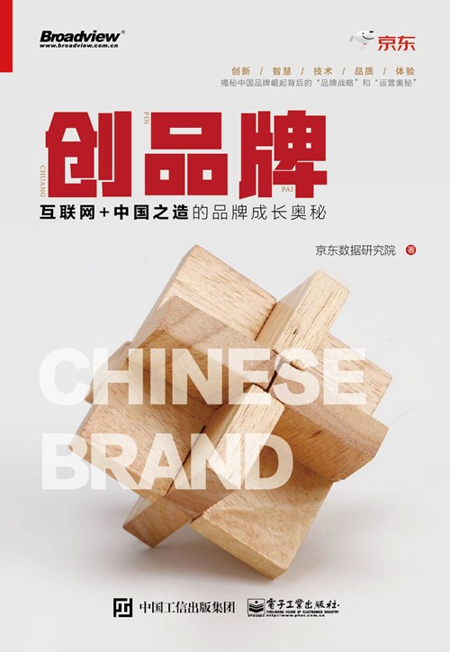 品牌战略：引爆互联网的中国品牌运营故事