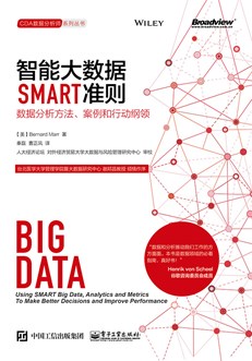 智能大数据SMART准则：数据分析方法、案例和行动纲领