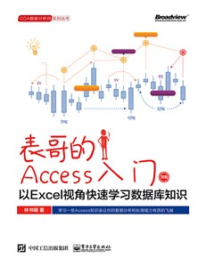 表哥的Access入门：以Excel视角快速学习数据库知识