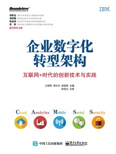 企业数字化转型架构：互联网+时代的创新技术与实践