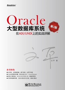 Oracle大型数据库系统在AIX/UNIX上的实战详解（第2版）