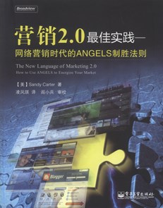 营销2.0最佳实践——网络营销时代的ANGELS制胜法则