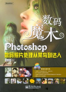 Photoshop数码照片处理从菜鸟到达人(含DVD光盘1张)（全彩）