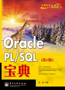 Oracle PL/SQL宝典（第2版）