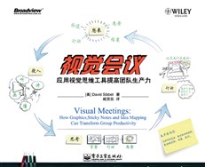 视觉会议：应用视觉思维工具提高团队生产力(双色)