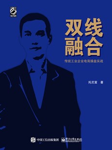 双线融合——传统工业企业电商操盘实战