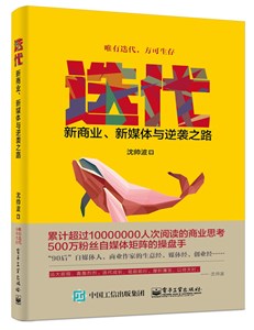 迭代：新商业，新媒体与逆袭之路