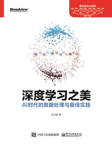 深度学习之美：AI时代的数据处理与最佳实践