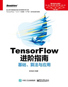 TensorFlow进阶指南：基础、算法与应用