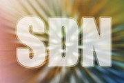 面对SDN，我们该怎么办？