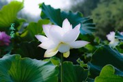 数据科学家节选（1）