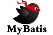 了解MyBatis——让开发更简捷与规范